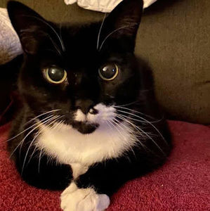 Meet your Posher, Paula